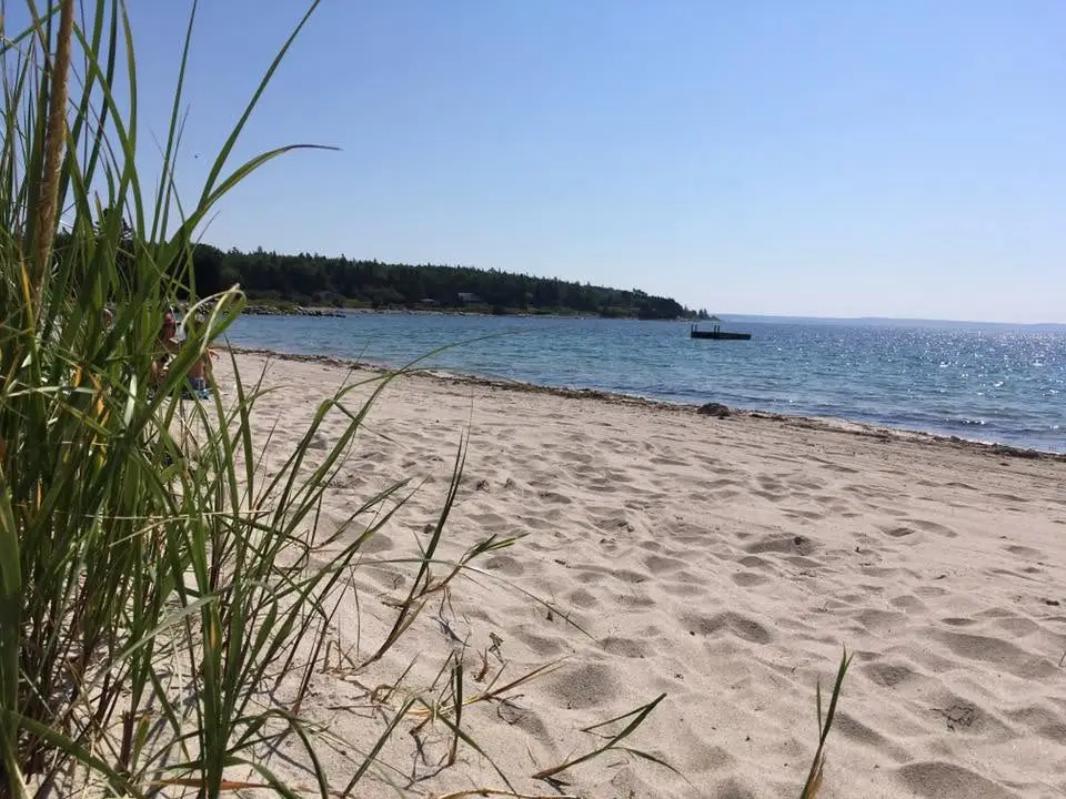 Sandy beach with green grass in the foreground, calm blue water, and a distant dock under a clear sky. Trees line the far shoreline.