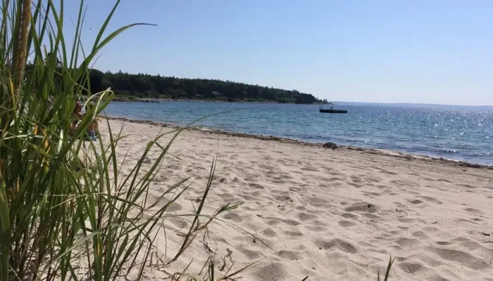Sandy beach with green grass in the foreground, calm blue water, and a distant dock under a clear sky. Trees line the far shoreline.