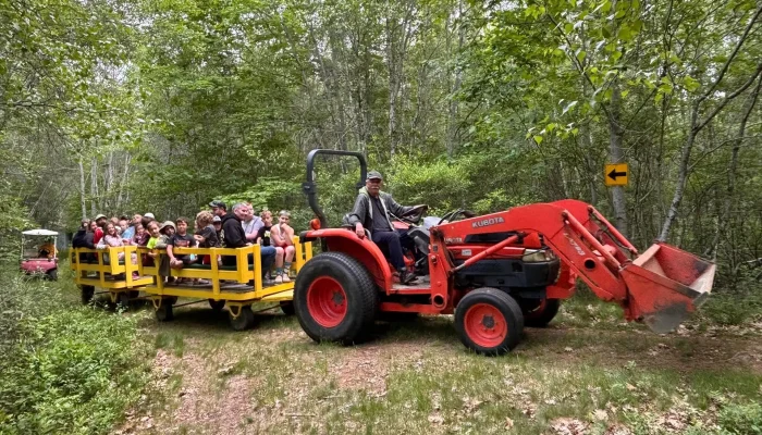 A red tractor pulls two yellow wagons filled with people through a wooded trail. The group appears to be on a guided outdoor tour.