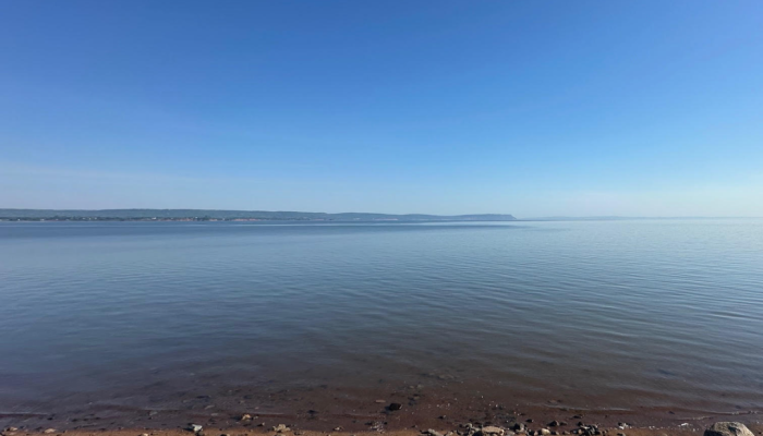 Rocky shore with calm water under a clear blue sky, distant land visible on the horizon.