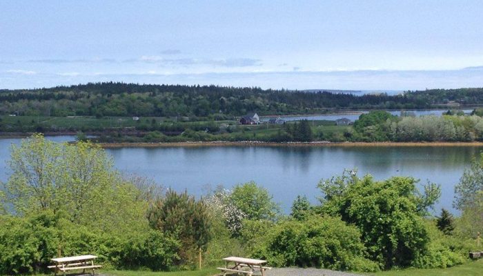 View of a calm lake bordered by green trees and shrubs, with picnic tables in the foreground and forested land in the background under a clear blue sky.