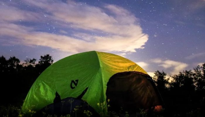 A green tent is set up in a field at night, surrounded by plants, with a starry sky and clouds visible above the horizon.
