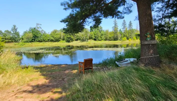 A wooden chair faces a calm pond surrounded by trees and grass; a small rowboat is tied to a tree in the foreground.
