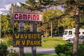 COANS Campground Spotlight: Wayside Camping Park
Looking for the perfect basecamp to explore one of Nova Scotia’s most iconic landmarks? ⛵ 

Located just 10 minutes from Peggy’s Cove, Wayside Campground is your seaside escape along the stunning South Shore. Whether you’re chasing coastal adventures or quiet evenings by the fire, Wayside puts you close to it all, without the crowds.

What You’ll Love:

🚐 Spacious RV & Tent Sites (30/50 amp, pull-throughs for big rigs!)
🧺 Clean Amenities including flush toilets, hot showers, and coin laundry
🚣 Boat & Kayak Launch right on the inlet — explore by water!
🌲 200 Acres of Natural Beauty with both wooded and open spaces
🔥 Fire Rings at Every Site for those perfect East Coast nights
🐾 Pet-Friendly so your whole family can come along
🌐 Free Wi-Fi, welcoming hosts, and peaceful surroundings

📷 Snap your lighthouse shots at Peggy’s Cove by day and come back to your cozy campsite by night. That’s the magic of camping local. 🌅

🔗 Book your stay: waysidecampground.com
Explore more COANS member campgrounds: campingnovascotia.com

#COANSCampgroundSpotlight #WaysideCampingPark #PeggyCoveCamping #NovaScotiaAdventures #CoastalCamping #CampLocalNS #ExploreSouthShore