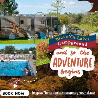COANS Featured Campground: Bras d'Or Lakes Campground

Begin your Cape Breton journey at @Bras OrLakesCampground, the only lakefront campground in Baddeck.
Enjoy:​
✅ Spacious RV & tent sites with full hookups
​ ✅ Camper cabins for a cozy stay​
✅ Heated pool, playground, and club house​

With direct access to the UNESCO-designated Bras d'Or Lake and proximity to the Cabot Trail, it's the perfect basecamp for your Nova Scotia adventure.​

🗓️ Open Season: June 25 – Sept 15, 2025​
🌐 Book now: brasdorlakescampground.ca

🔗 Discover more COANS member campgrounds: campingnovascotia.com
Camp Local. Camp Nova Scotia.

#NovaScotiaCamping #COANS #CampLocalCampNovaScotia #BaddeckCamping #ExploreNovaScotia