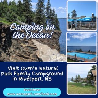 COANS Campground Spotlight: Ovens Natural Park

🌊 Experience Coastal Majesty at Ovens Natural Park! 🏞️

Nestled along Nova Scotia's scenic Lighthouse Route, The Ovens Natural Park offers a unique blend of natural beauty, rich history, and family-friendly adventures. Explore the famous sea caves, known as "The Ovens," hike along dramatic cliffside trails, or try your hand at gold panning—a nod to the area's 1861 gold rush heritage.

What You'll Love:
🏕️ Diverse Accommodations: Choose from 25 woodland tent sites, 50 oceanfront campsites, and 65 serviced RV sites (up to 30 feet).
🛏️ Rustic Cabins: Comfortable, well-appointed cabins with electricity and plumbing, all within a short walk to park amenities.
🌊 Outdoor Activities: Enjoy kayaking, ocean swimming, and guided boat tours along the rugged coastline.
🎶 Live Entertainment: Delight in nightly live music at the on-site restaurant, serving renowned beer-battered fish and chips.
🏊 Family Fun: Take a dip in the large swimming pool or explore the extensive trail system.
🐾 Pet-Friendly: Bring your furry friends along for the adventure.

Whether you're seeking a peaceful retreat or an action-packed getaway, Ovens Natural Park provides an unforgettable camping experience steeped in natural wonder and maritime charm.

🔗 Plan your visit: www.ovenspark.com

Discover more COANS member campgrounds at www.campingnovascotia.com

#COANSCampgroundSpotlight #OvensNaturalPark #NovaScotiaCamping #SeaCaveAdventure #FamilyCamping #CampingNovaScotia
