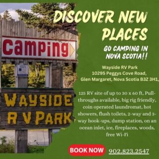 COANS Member Spotlight: Wayside Camping Park 🔦

Nestled along the scenic Peggy’s Cove Road in Glen Margaret, Wayside Campground delivers spacious RV and private tent sites just minutes from the iconic Peggy’s Cove lighthouse. 

What makes Wayside special:
👉Full hookups for RVs (30 & 50 amp), water and sewer, plus peaceful, forested tent sites. 
👉Modern amenities like hot coin‑operated showers, flush toilets, laundry facilities, dump station, and free Wi‑Fi. 
👉Ideal location for exploring the South Shore’s top attractions—from ocean swimming and hiking to kayaking and visiting Peggy’s Cove. 

Whether you’re on the road with your RV or cozying up in a secluded tent spot, this COANS member offers you an unparalleled experience! 

📍 Plan your getaway:
👉 www.waysidecampground.com

🧭 For more Nova Scotia destinations, visit:
👉 www.campingnovascotia.com

#COANScamping #CampingNovaScotia #VisitNovaScotia #WaysideCampingPark #SouthShoreNS #RVLife #TentCamping #peggyscove  #CampWithConfidence
