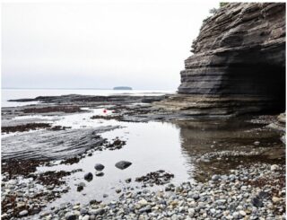 Looking for a little mystery on your next coastal adventure? Tucked away at low tide, the shoreline caves of Bedford Basin reveal a secret side of Nova Scotia’s waterfront. In this latest blog post, we uncover how these fascinating formations—hidden in plain sight—offer a glimpse into the region’s geological past and a rare chance to walk the ocean’s edge, quite literally!

From rugged rock faces to echoing cave entrances, this quiet corner of the province offers more than just a beautiful view—it’s an invitation to explore, wonder, and wander. 🧭

👉 Read the full story here: https://campingnovascotia.com/bedford-basins-secret-shoreline-caves-unlocked-at-low-tide/

💚 COANS Members make these experiences possible. When you camp with one of our trusted campgrounds, you’re staying with people who know and love this province—and want you to experience its very best.

📍 Start planning your next adventure:
🔗 www.campingnovascotia.com

#CampingNovaScotia #COANScamping #ExploreNS #HiddenGemsNS #LowTideAdventures #BedfordBasin #CampWithConfidence