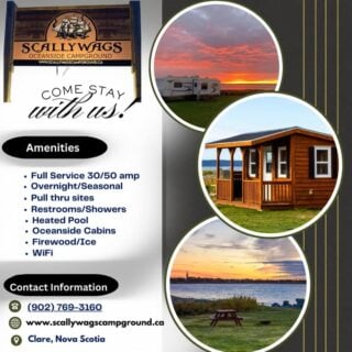 COANS Campground Spotlight: Scallywags Oceanside Campground

Nestled in picturesque Church Point on the Acadian Shore, Scallywags Oceanside Campground (formerly Belle Baie) invites you to wake up to stunning ocean views, experience the highest tides in the world, and celebrate coastside adventures steeped in rich Acadian culture.

Why Camp Here:

🏕️ Full Hookup RV & Tent Sites: Spacious oceanside sites with 30‑ and 50‑amp hookups, including pull-throughs for extra convenience
🏊 Heated Pool & Playground: Splash by day, play under the sun, and unwind under the stars with evening activities
🌊 Sandy Beach Access: Walk right to the shoreline and soak in coastal magic with beach fires and serene ocean breezes
🎭 Acadian Culture Nearby: Explore local heritage, savor Acadian cuisine, and tour stunning churches and scenic landscapes
🐾 Pet-Friendly Comfort: Bring your furry pals along to share in the seaside serenity
🌐 Modern Amenities: Clean washrooms, showers (pay), laundry, Wi-Fi, ice, fire pits, and an inviting community vibe

🔗 Plan your stay today: www.scallywagscampground.ca

Discover more COANS member campgrounds: campingnovascotia.com

#COANSCampgroundSpotlight #ScallywagsOceanside #AcadianShores #NovaScotiaCamping #CampLocalNS #ExploreNovaScotia